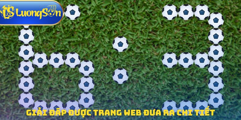 Giải đáp được trang web đưa ra chi tiết